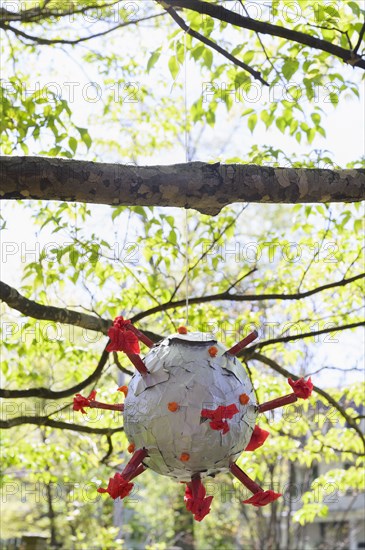 Coronavirus shaped pinata hanging from tree