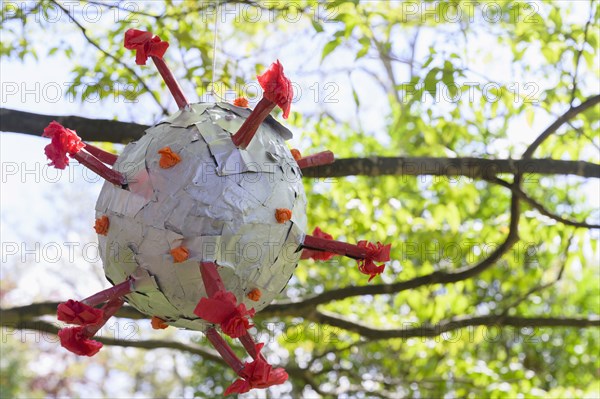 Coronavirus shaped pinata hanging from tree