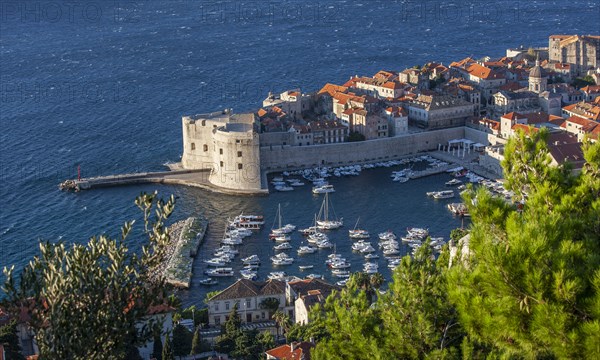 Croatia, Dubrovnik, Old town and marina