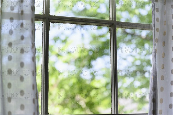 Summer trees seen through window,,