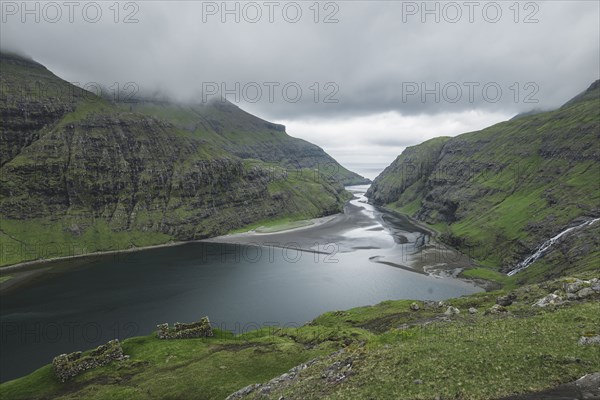 Denmark, Green coastline with cliffs,