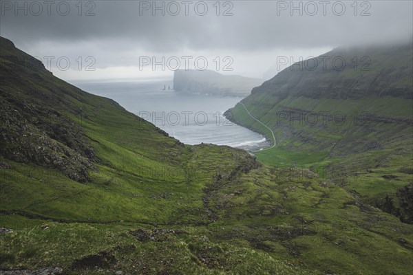 Denmark, Green coastline with cliffs,