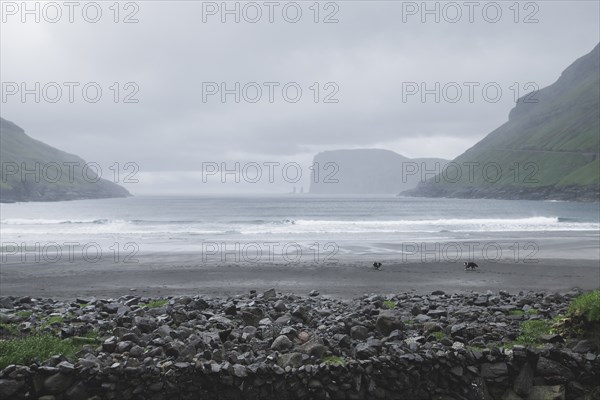 Denmark, Beach in foggy day,