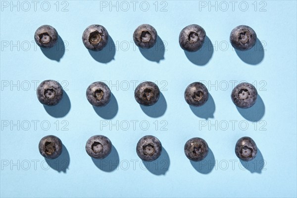 Blueberries in rows on blue background