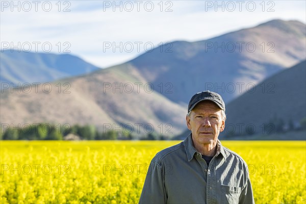 USA, Farmer standing in mustard field,