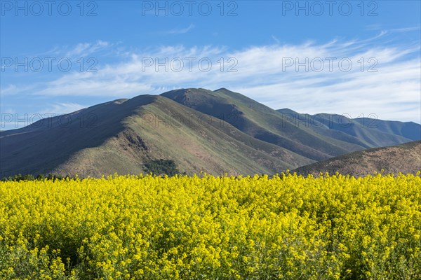 USA, Idaho, Sun Valley