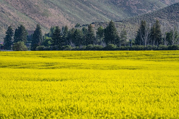 USA, Idaho, Sun Valley