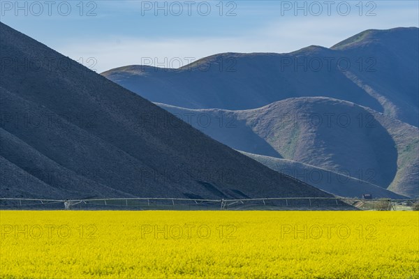 USA, Idaho, Sun Valley