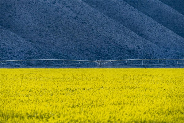 USA, Idaho, Sun Valley