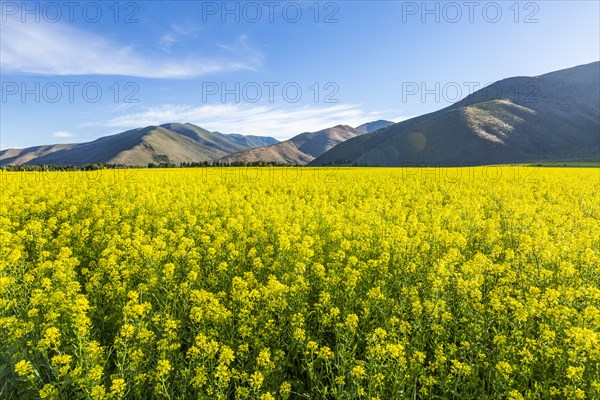 USA, Idaho, Sun Valley