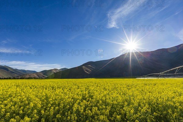 USA, Idaho, Sun Valley