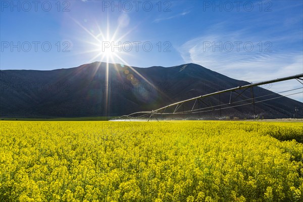 USA, Idaho, Sun Valley