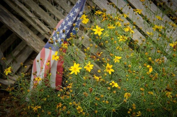 Faded American flag on old wood,,