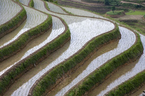 China, Guangxi, Guilin