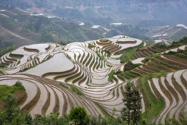 China, Guangxi, Guilin