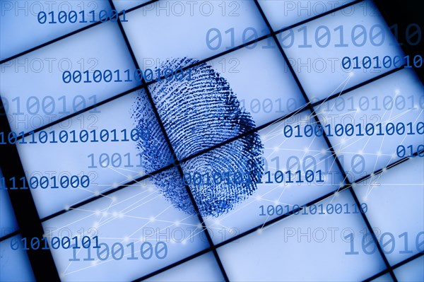 Fingerprint on grid with binary code