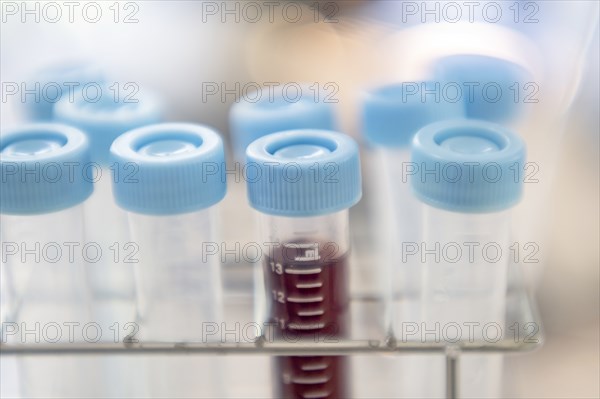 Close-up of test tubes in laboratory