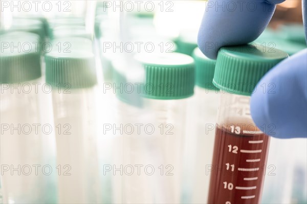 Close-up of test tubes in laboratory