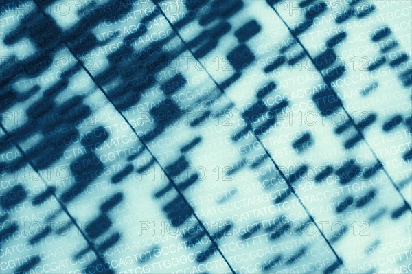 DNA chart and AGCT sequence letters