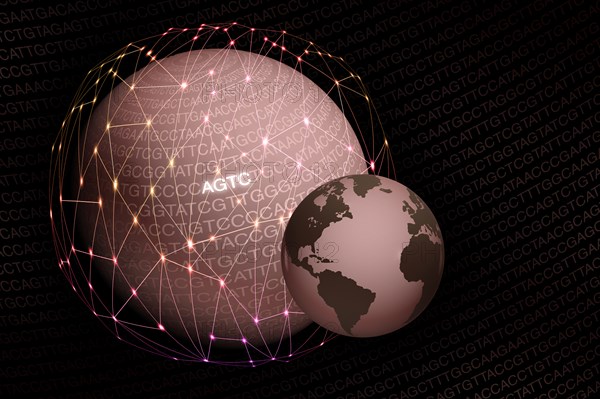 Globes with DNA sequence letters