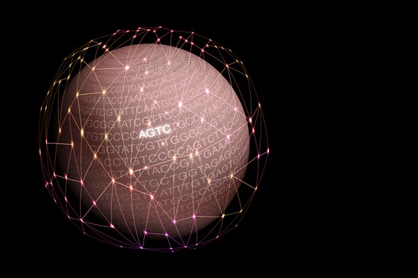 Globe with DNA sequence letters