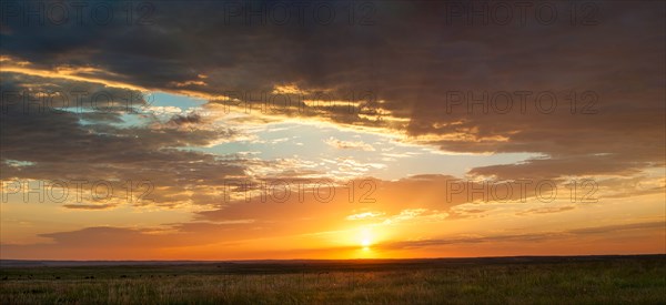 USA, South Dakota, Prairie grass field at sunset