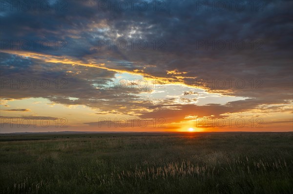 USA, South Dakota, Prairie grass field at sunset