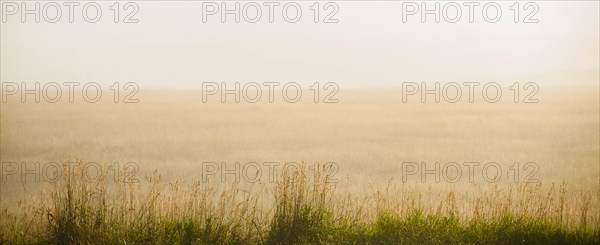 USA, South Dakota, Morning fog on prairie