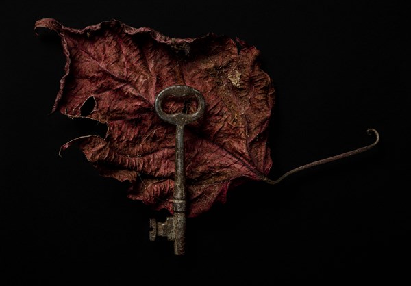 Antique key with leaf on black background