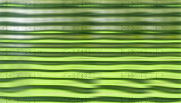 Wavy green background