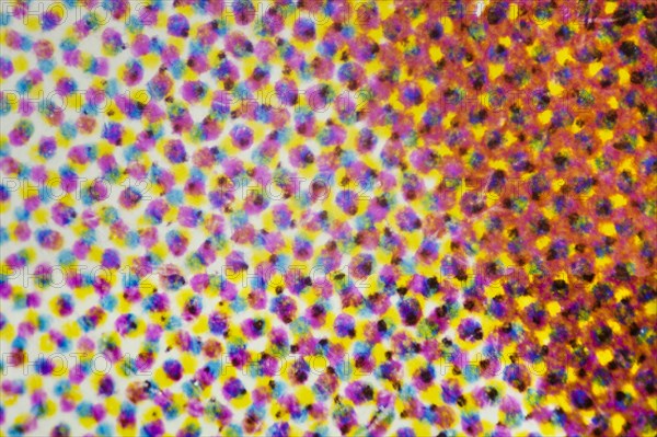 Microscopic view of CMYK printer dots