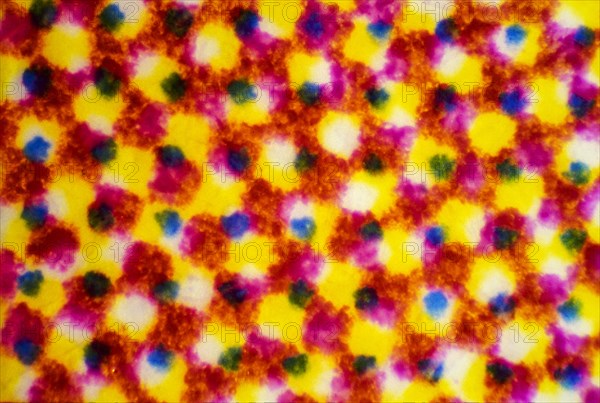 Microscopic view of CMYK printer dots