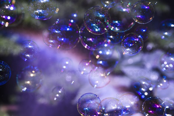 Soap bubbles floating in air