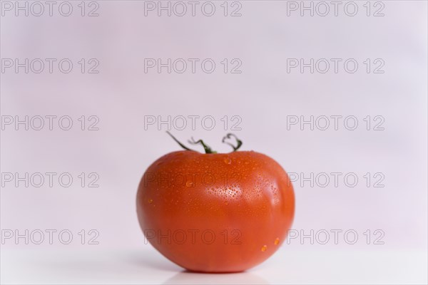 Red tomato on white background