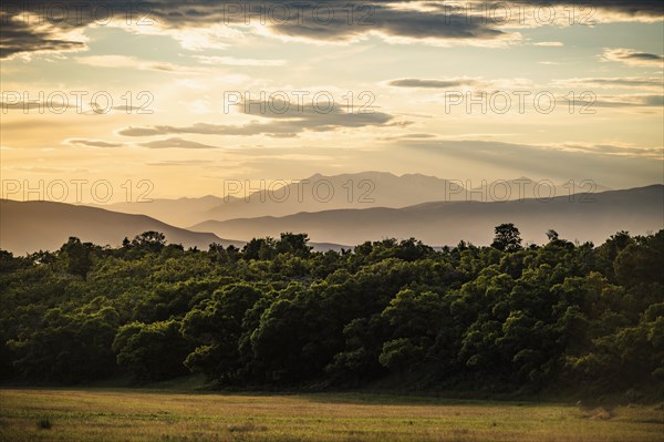 USA, Utah, Salem, Landscape with forest and mountains at dusk