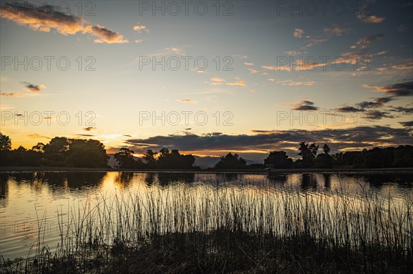 USA, Utah, Salem, Rushes at lakeshore at dusk