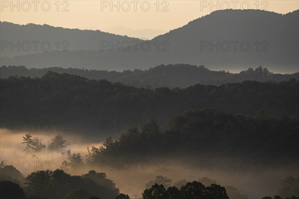 USA, Georgia, Fog above forest and Blue Ridge Mountains at sunrise