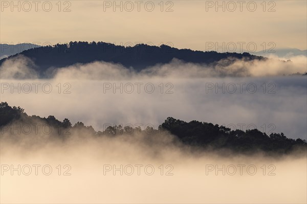 USA, Georgia, Fog and clouds above forest and Blue Ridge Mountains at sunrise