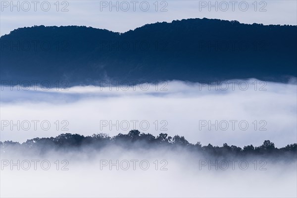 USA, Georgia, Fog and clouds above forest and Blue Ridge Mountains at sunrise