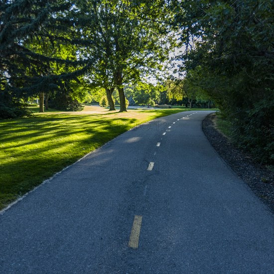 USA, Idaho, Boise, Road among trees