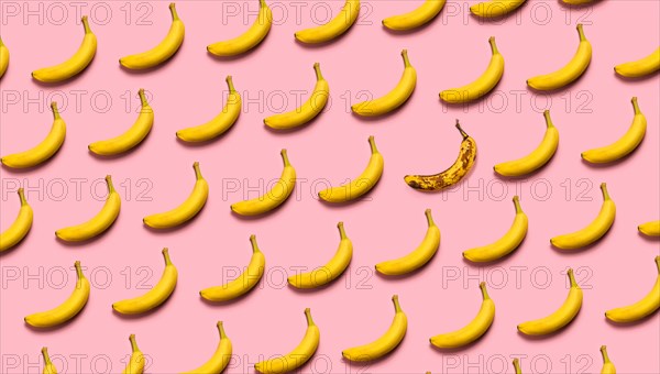 Rows of bananas on pink background