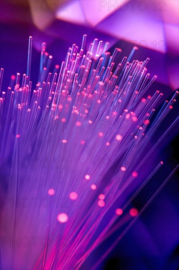 Close-up of illuminated fiber optics