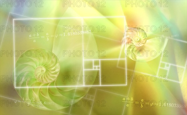 Digitally generated golden ratio diagrams