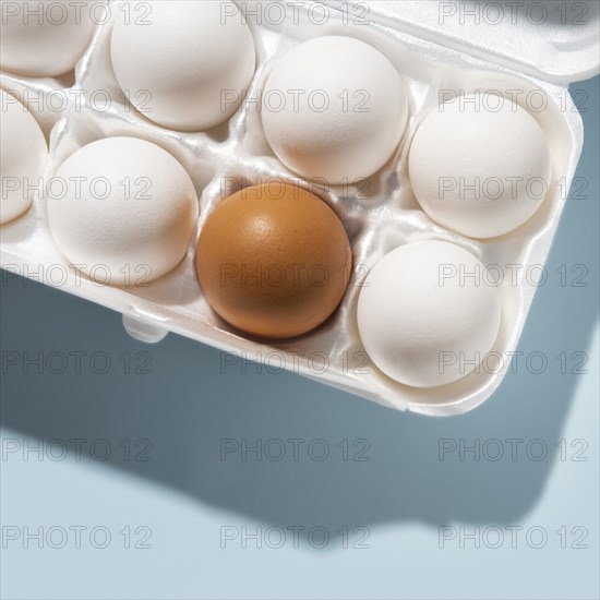 Eggs in carton on blue background