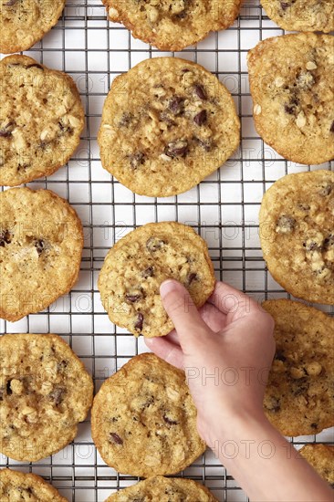 Close-up of girls ( 8-9) hand taking oatmeal cookie