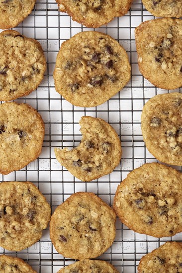 Oatmeal cookies with one missing bite