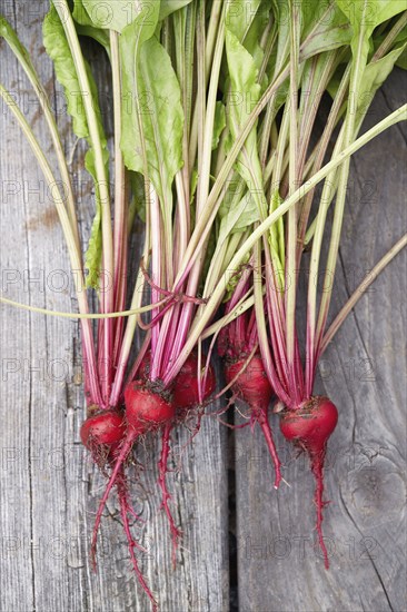 Fresh radishes with leaves on wooden table