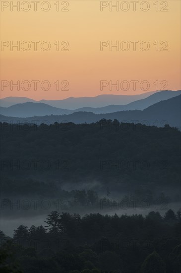 USA, Georgia, Blue Ridge Mountains and forest covered with fog at sunrise