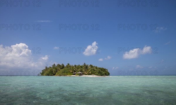 Indian Ocean, Maldives, Ari Atoll, Vilamendhoo Island, Tropical island on Indian Ocean