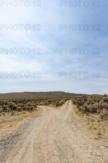 USA, Idaho, Bellevue, Forked dirt road in desert